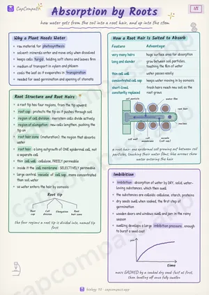 Absorption by Roots revision notes, page 1 of 5