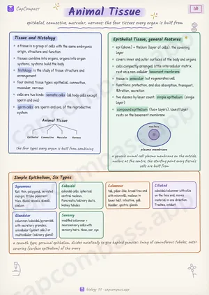 Animal Tissue revision notes, page 1 of 6