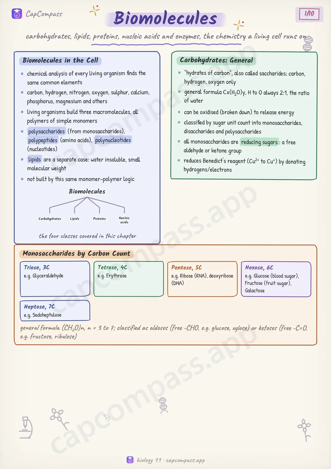Biomolecules revision notes, page 1 of 10