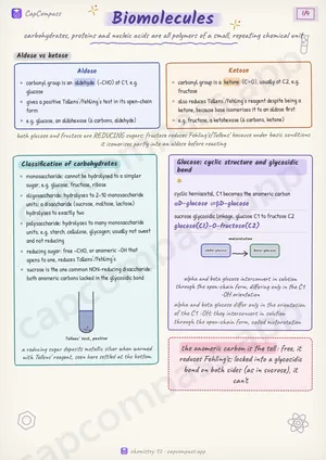Biomolecules revision notes, page 1 of 4