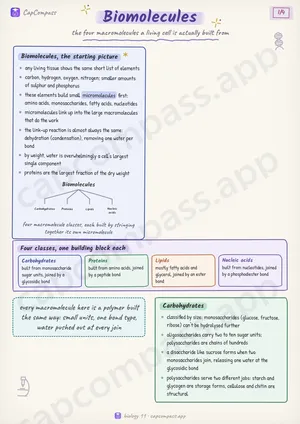 Biomolecules revision notes, page 1 of 4