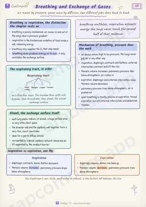 Breathing and Exchange of Gases revision notes, page 1 of 3
