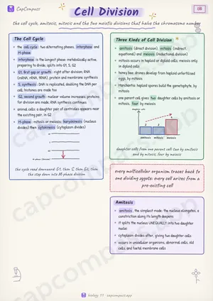 Cell Division revision notes, page 1 of 6