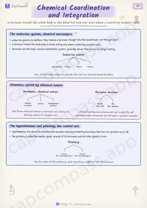 Chemical Coordination and Integration revision notes, page 1 of 4