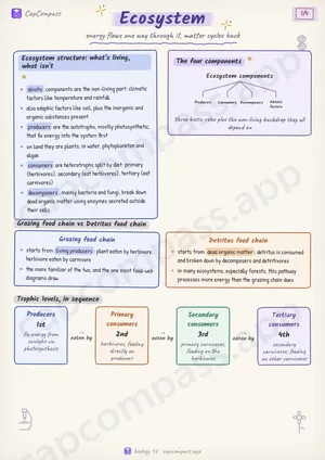 Ecosystem revision notes, page 1 of 4
