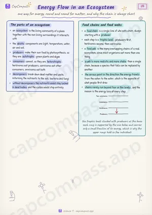 Energy Flow in an Ecosystem revision notes, page 1 of 4