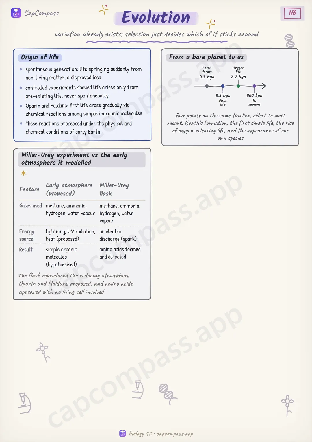 Evolution revision notes, page 1 of 6