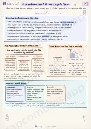Excretion and Osmoregulation revision notes, page 1 of 7