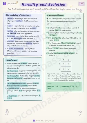 Heredity and Evolution revision notes, page 1 of 4