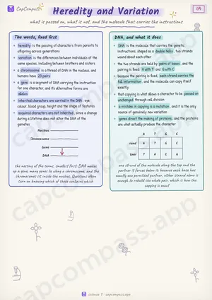 Heredity and Variation revision notes, page 1 of 4