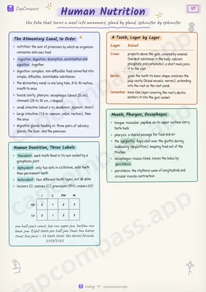 Human Nutrition revision notes, page 1 of 7