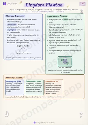 Kingdom Plantae revision notes, page 1 of 7
