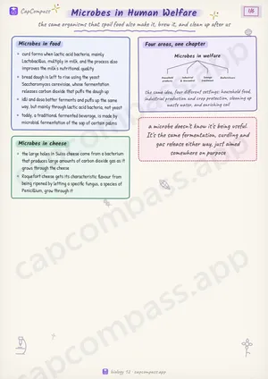 Microbes in Human Welfare revision notes, page 1 of 6