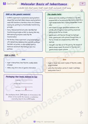 Molecular Basis of Inheritance revision notes, page 1 of 6
