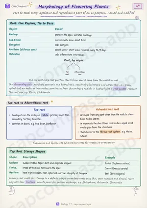Morphology of Flowering Plants revision notes, page 1 of 9