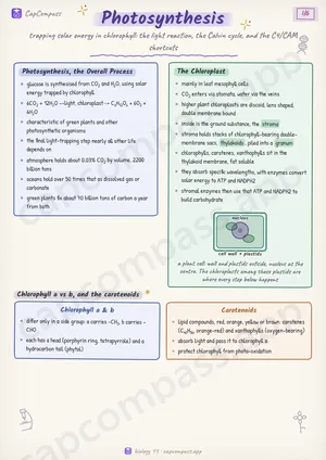 Photosynthesis revision notes, page 1 of 6