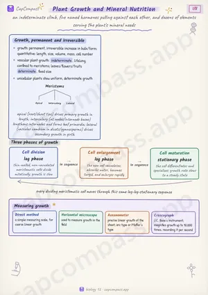Plant Growth and Mineral Nutrition revision notes, page 1 of 8