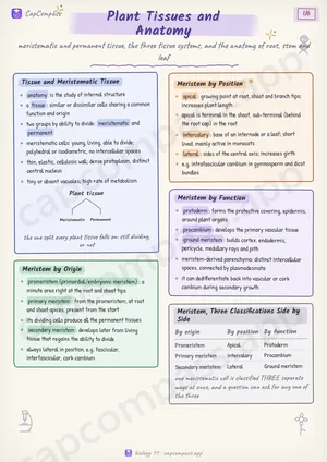 Plant Tissues and Anatomy revision notes, page 1 of 6