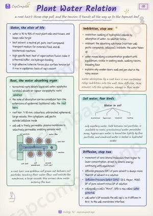 Plant Water Relation revision notes, page 1 of 6