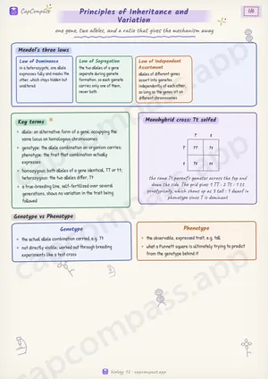 Principles of Inheritance and Variation revision notes, page 1 of 6