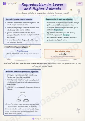 Reproduction in Lower and Higher Animals revision notes, page 1 of 10