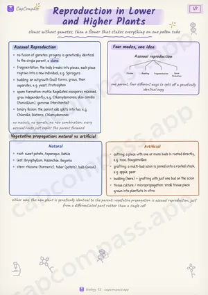 Reproduction in Lower and Higher Plants revision notes, page 1 of 7
