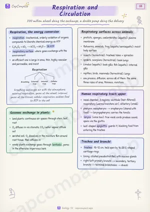 Respiration and Circulation revision notes, page 1 of 6