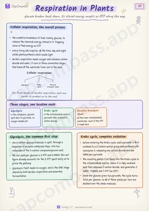 Respiration in Plants revision notes, page 1 of 4