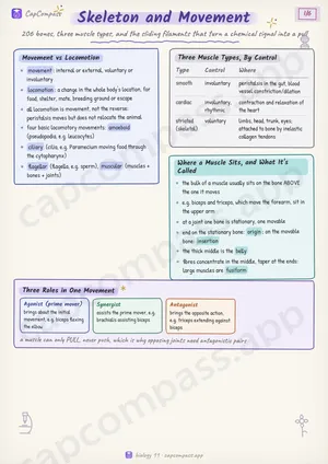 Skeleton and Movement revision notes, page 1 of 6