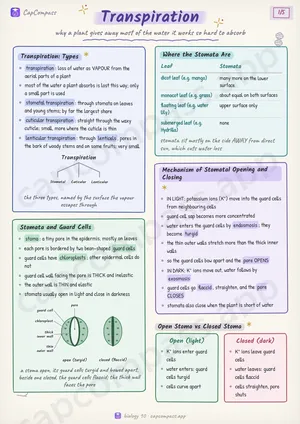 Transpiration revision notes, page 1 of 5